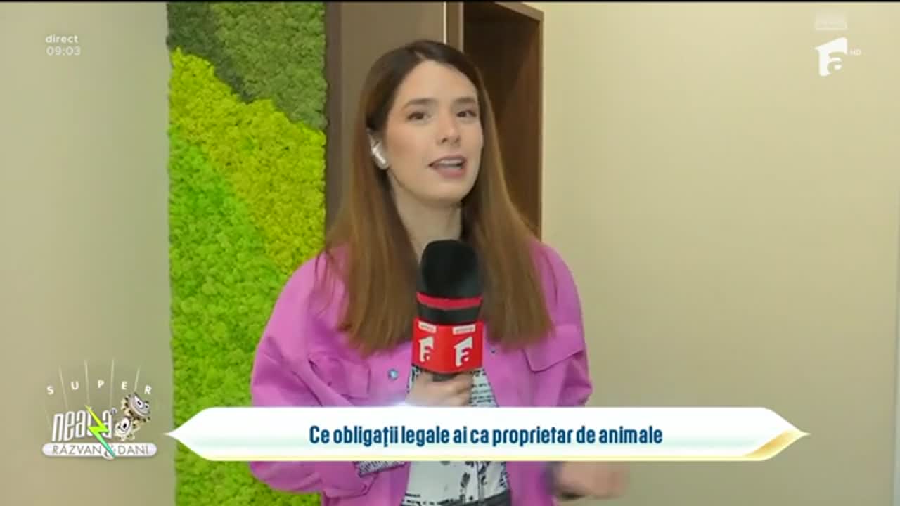 Super Neatza. Ce obligații legale ai ca proprietar de animale