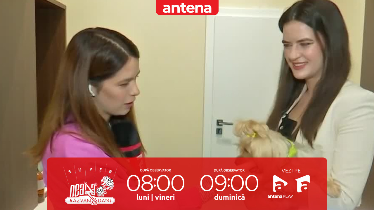 Super Neatza. Ce obligații legale ai ca proprietar de animale