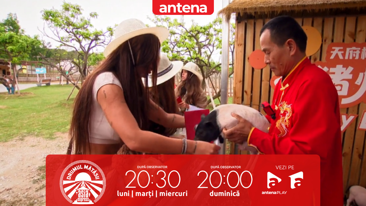 Asia Express 2026. Concurenții au luat parte la o cursă cum nu au mai &icirc;nt&acirc;lnit p&acirc;nă acum: o &icirc;ntrecere cu porci