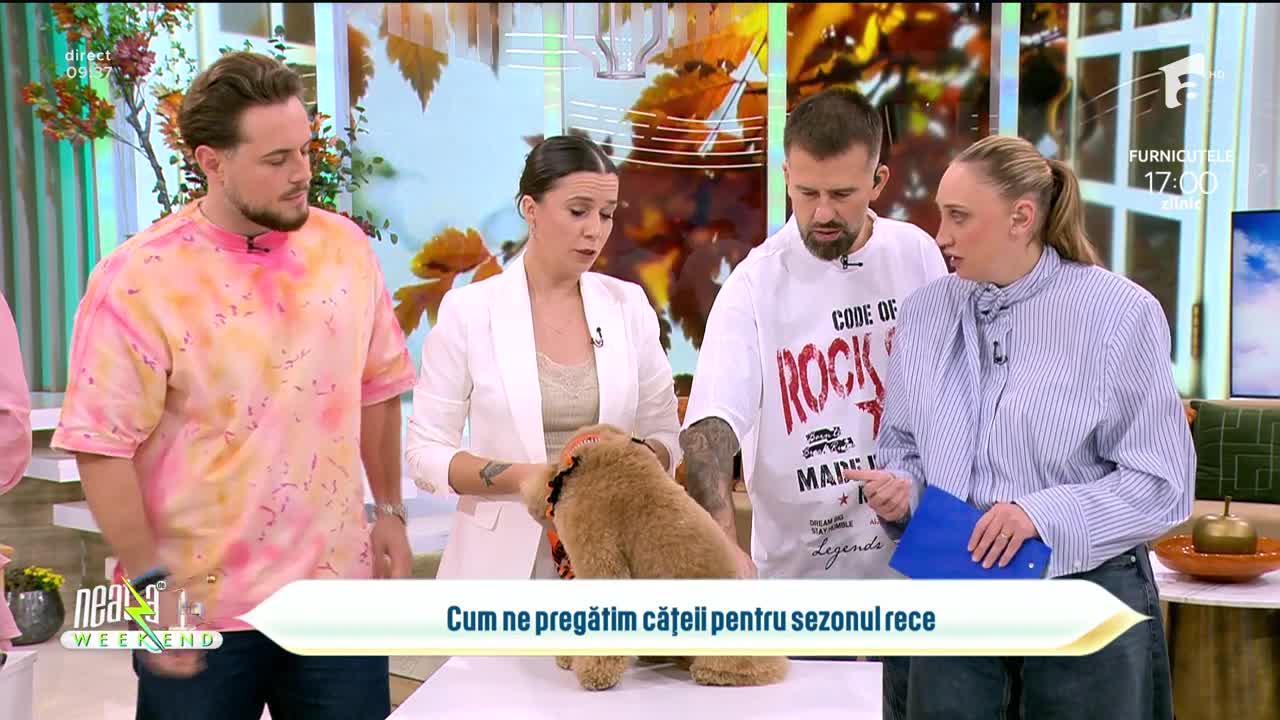 Super Neatza de Weekend. Cum ne pregătim cățeii pentru sezonul rece