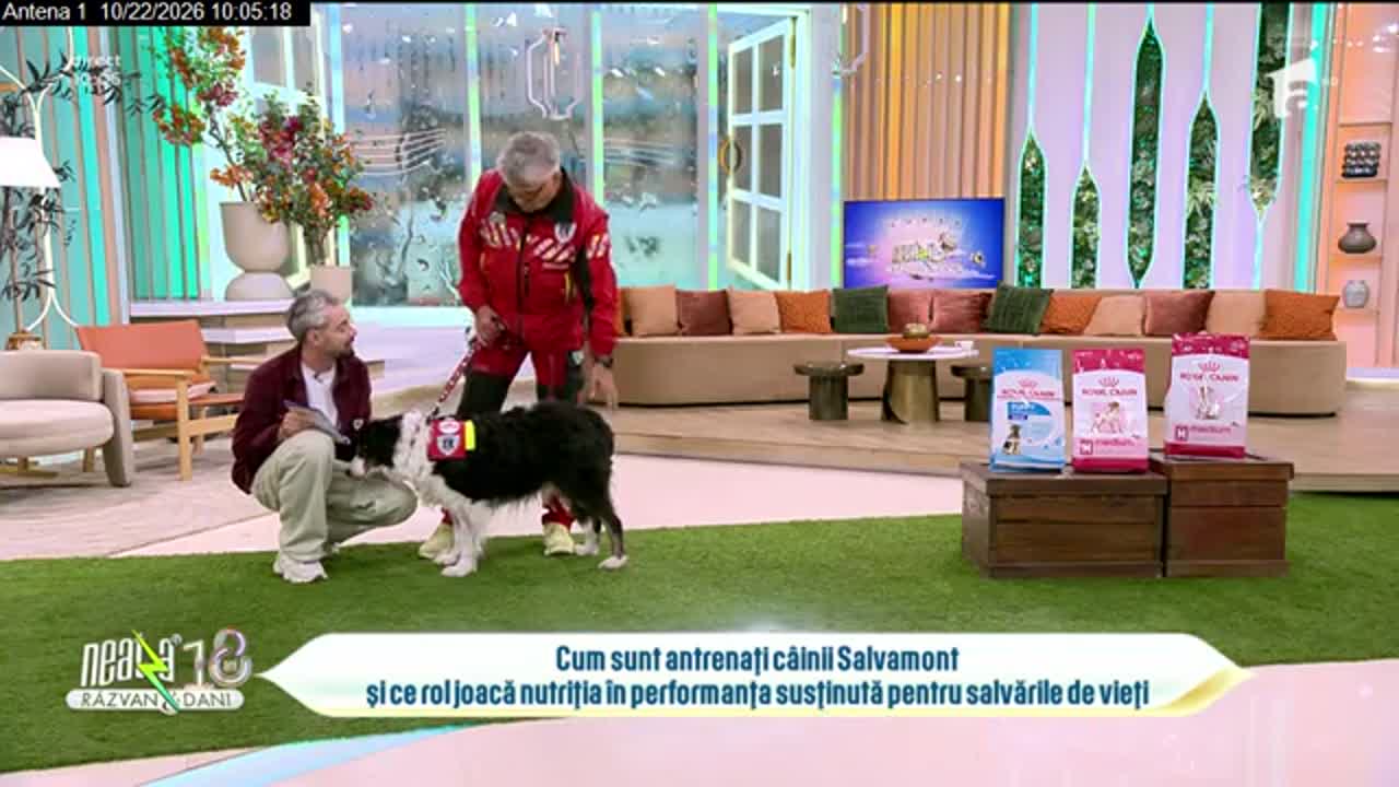 C&acirc;inii Salvamont și ROYAL CANIN&reg;, &icirc;mpreună pentru viețile salvate pe munte