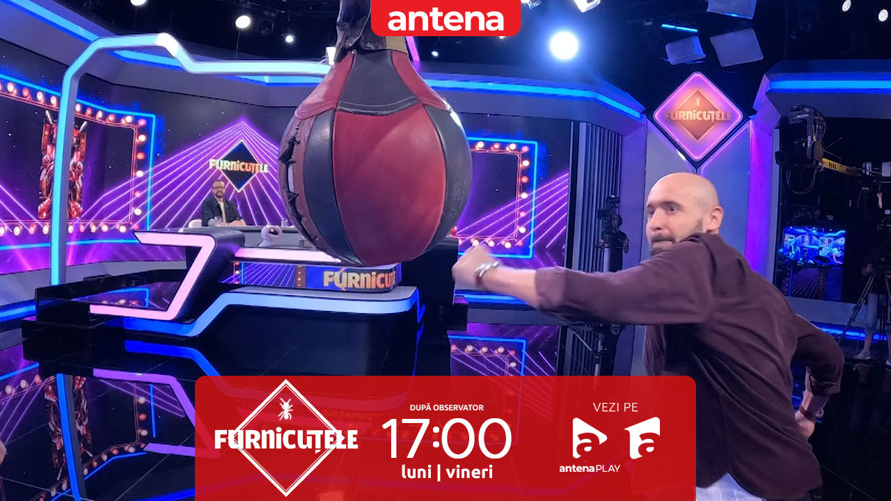 Furnicuțele 2026. C&acirc;t de tare au lovit Adrian Mutu și Dan Pavel aparatul de box?