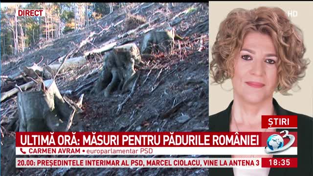 Ultimă Oră Măsuri Pentru Pădurile Romaniei