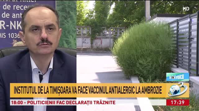 Voi Cu Voicu Institutul De La Timișoara Va Face Vaccinul Antialergic La Ambrozie