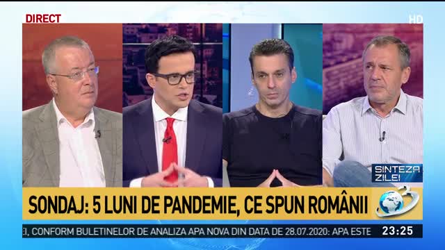 Sinteza Zilei