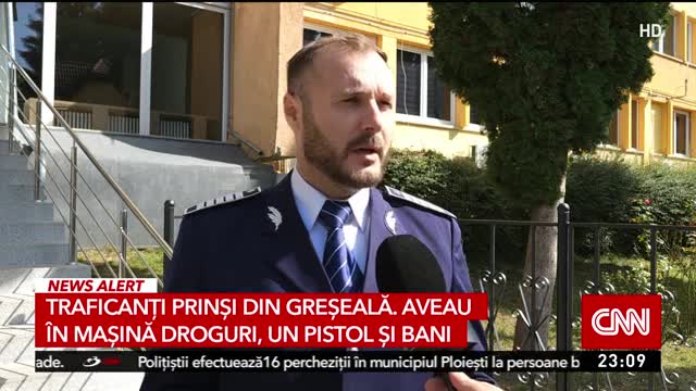 Sinteza Zilei