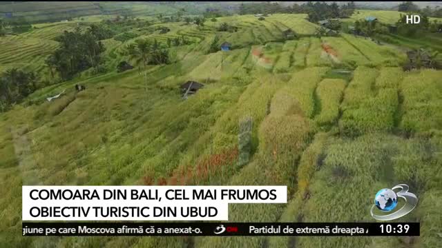 Știri ora 10:00