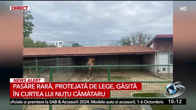 Știri ora 10:00