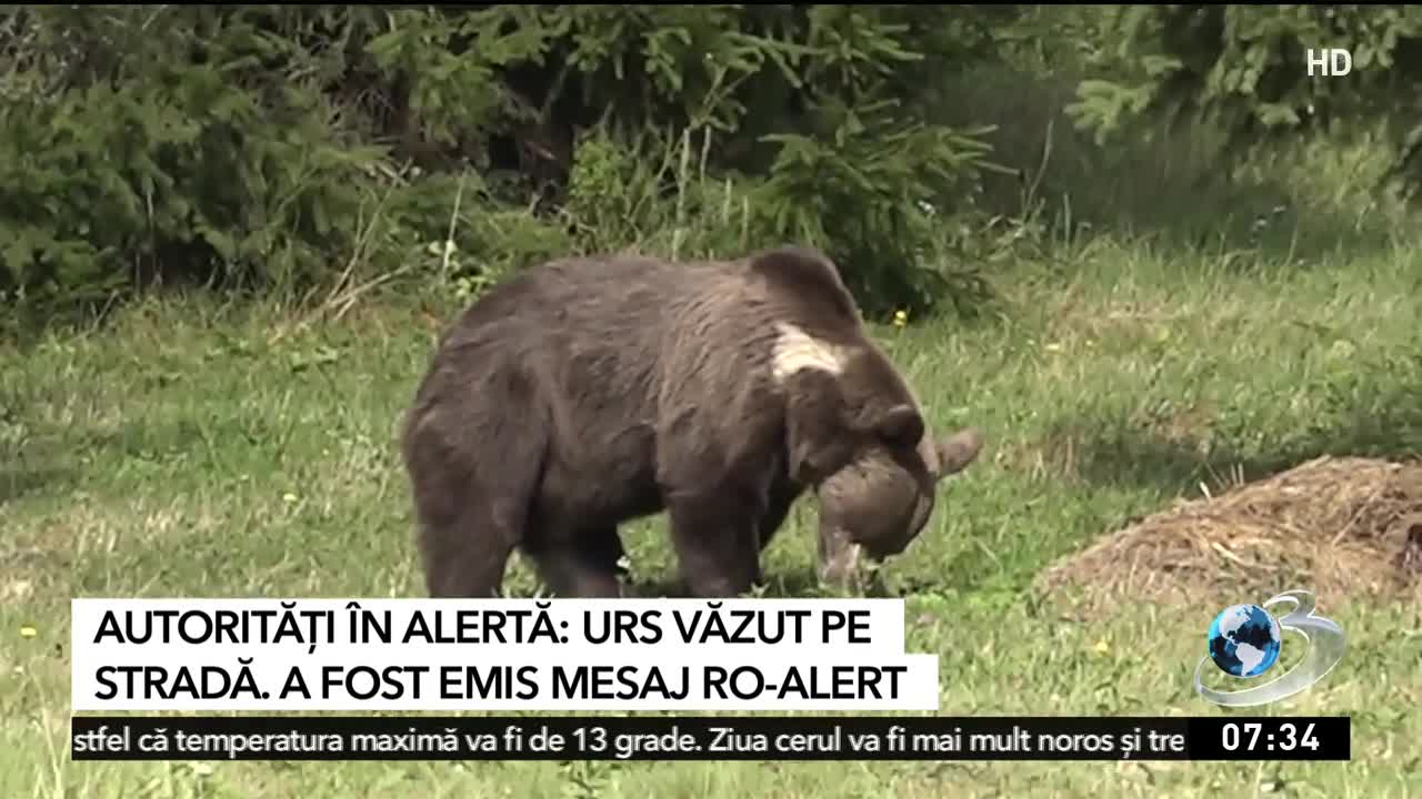 Știrile dimineții