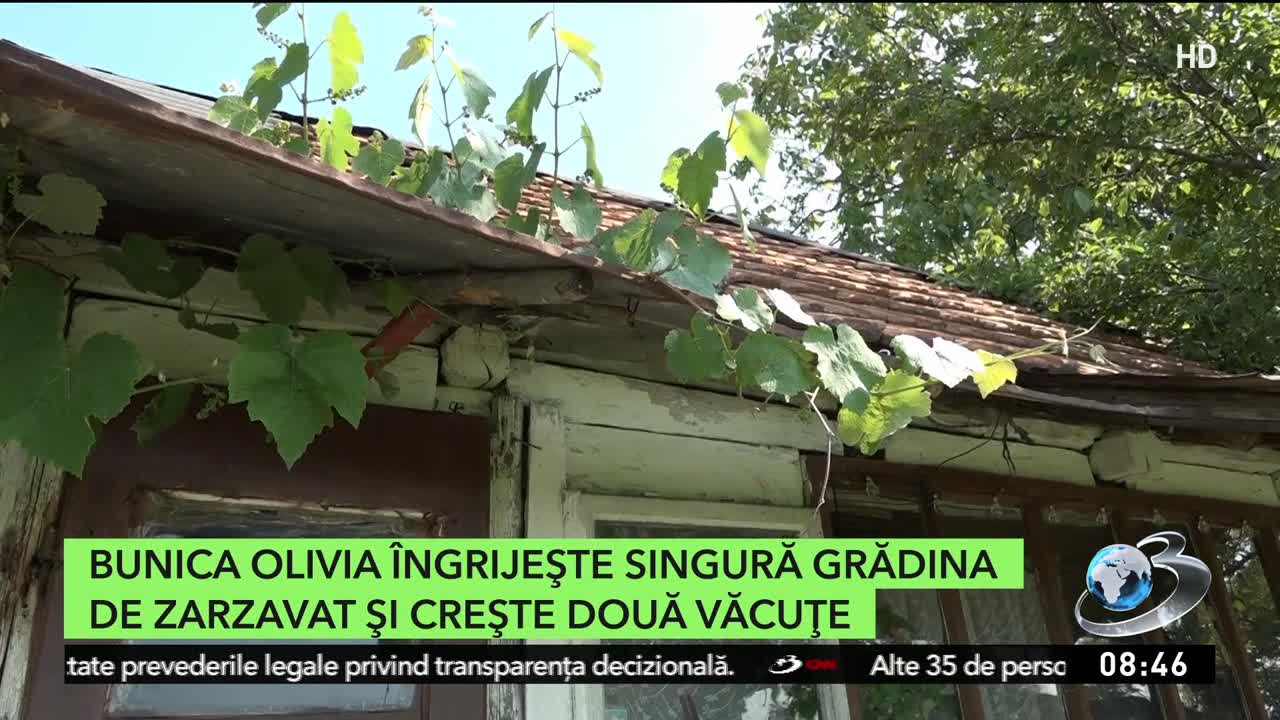 Agricool De Sambata 2 August 2025