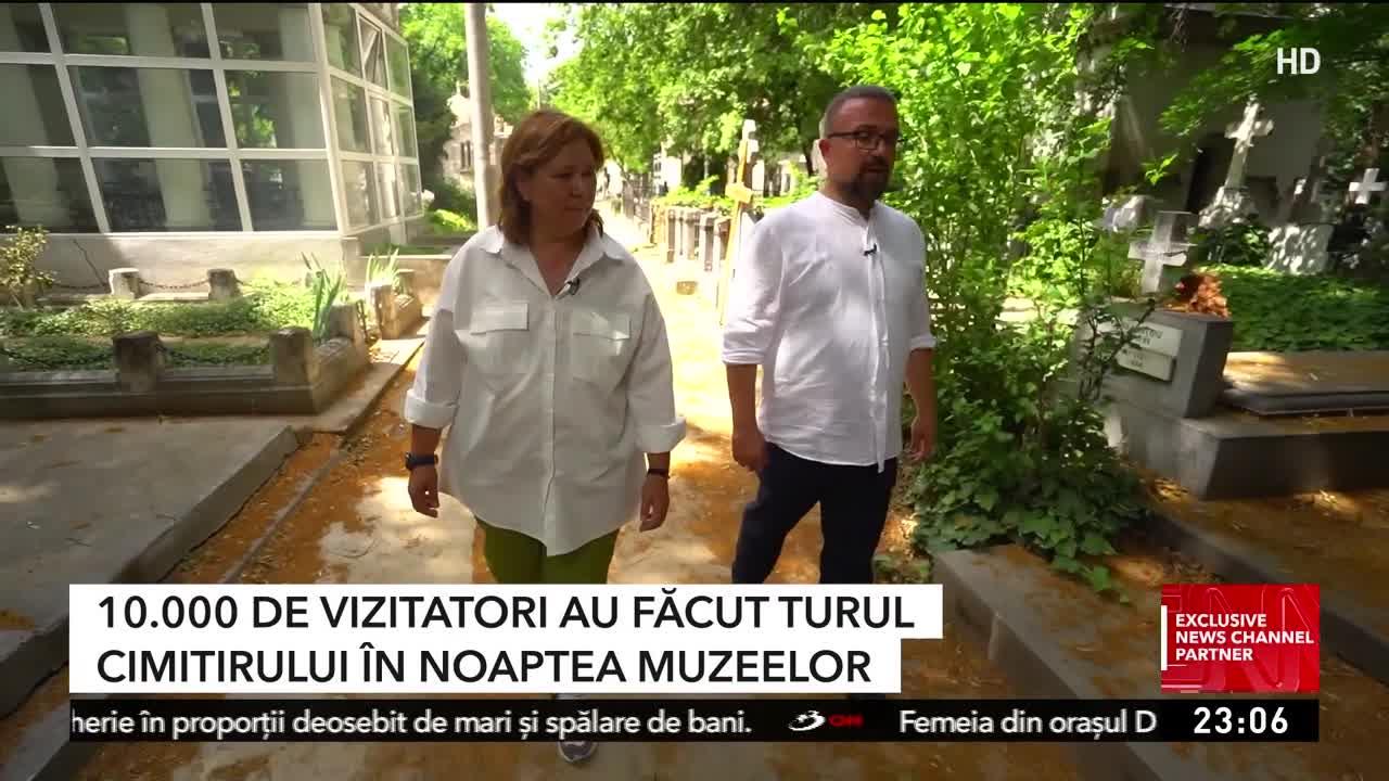 Voi cu Voicu