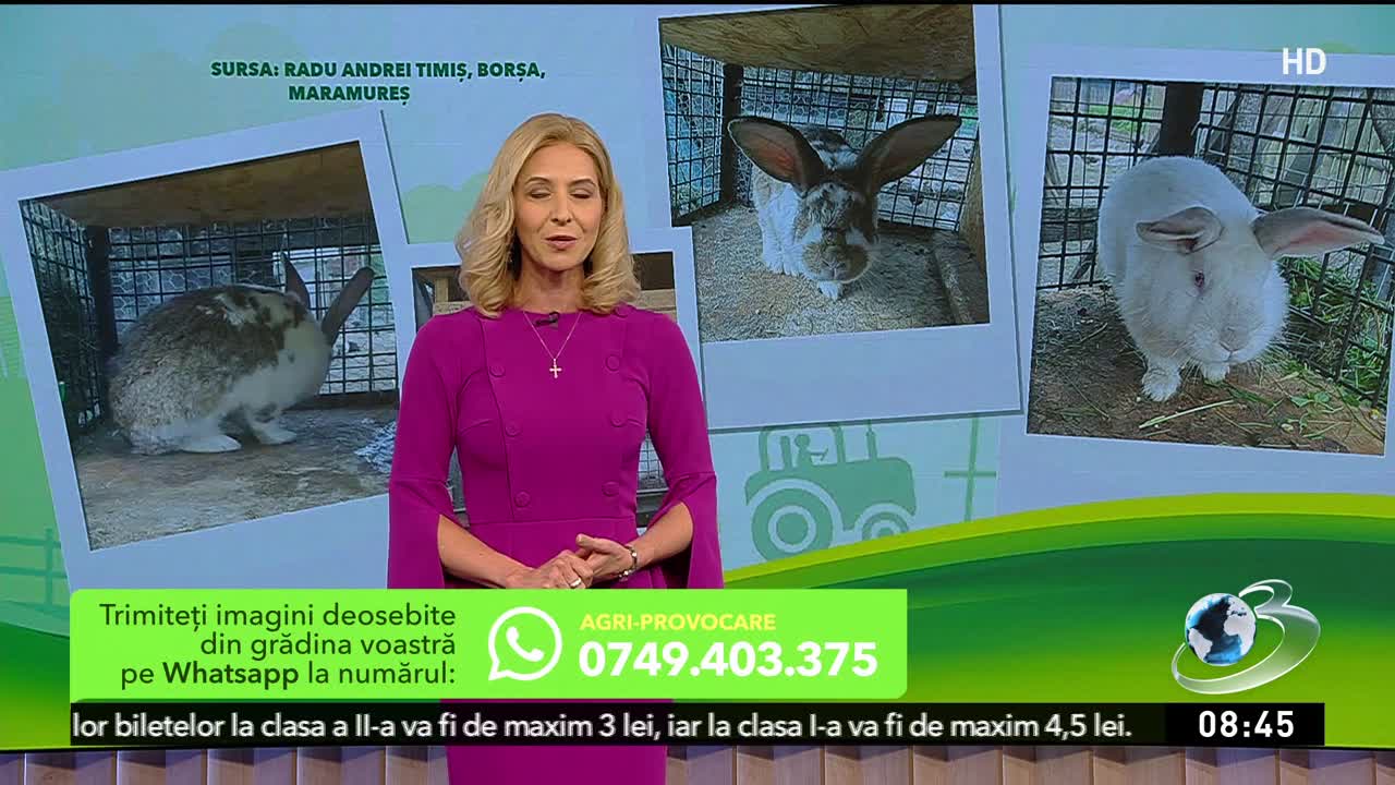 Agricool