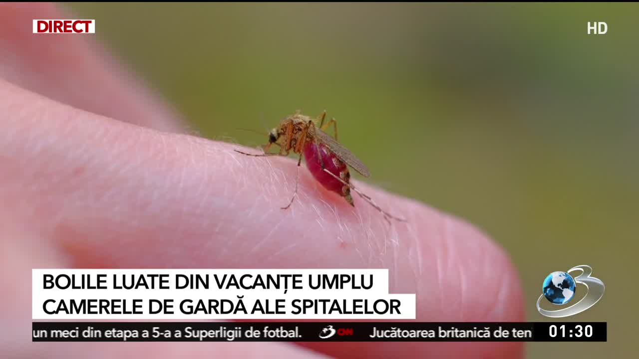 Știri ora 24:00