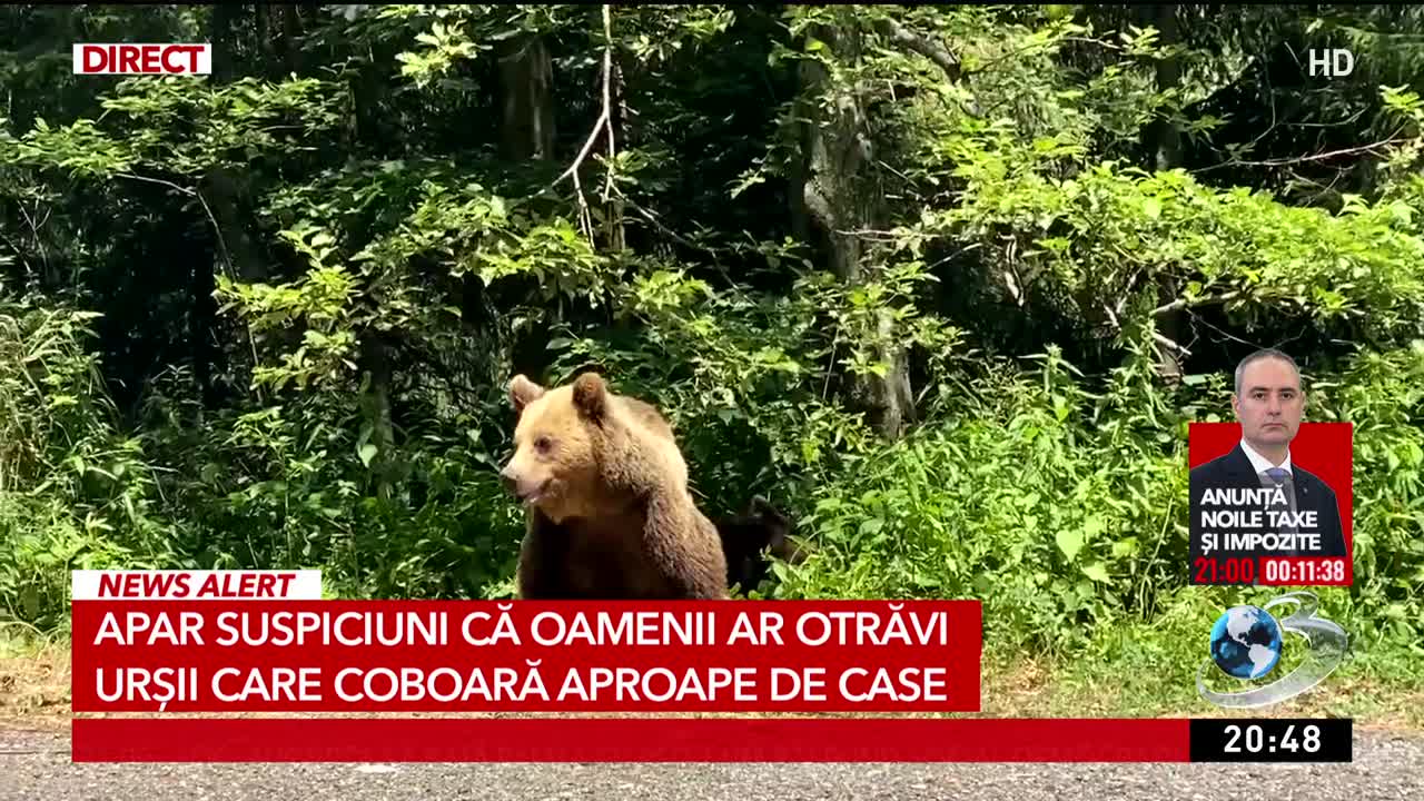 În fața Națiunii