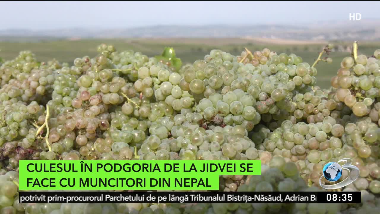 Agricool