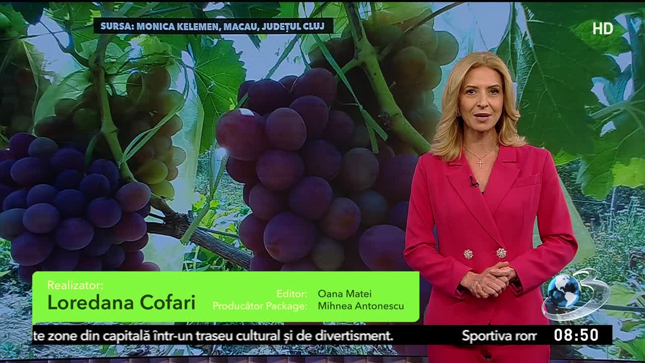 Agricool