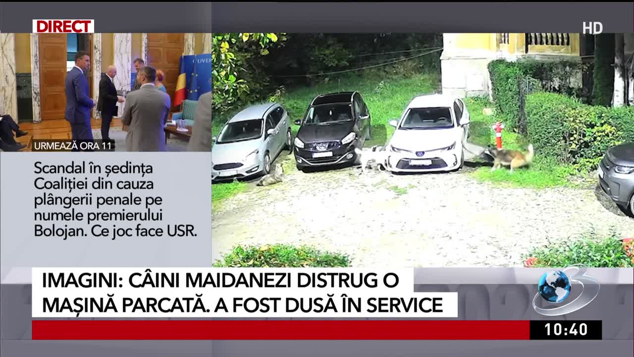 Știri ora 10:00