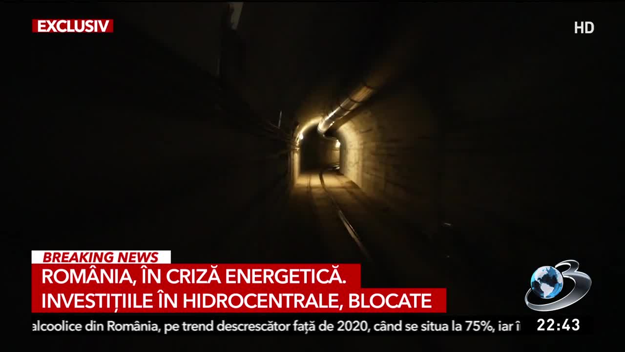 Sinteza Zilei