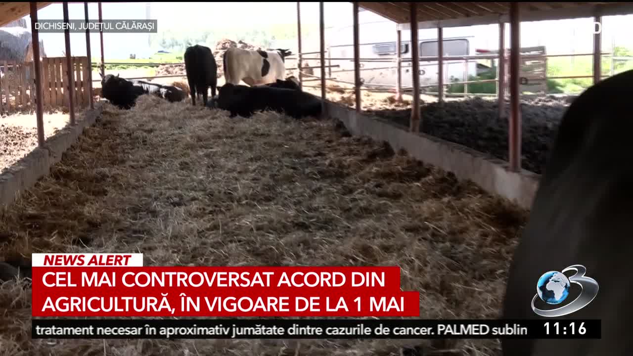 Știri ora 11:00