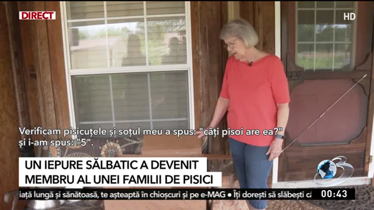 Știri ora 24:00