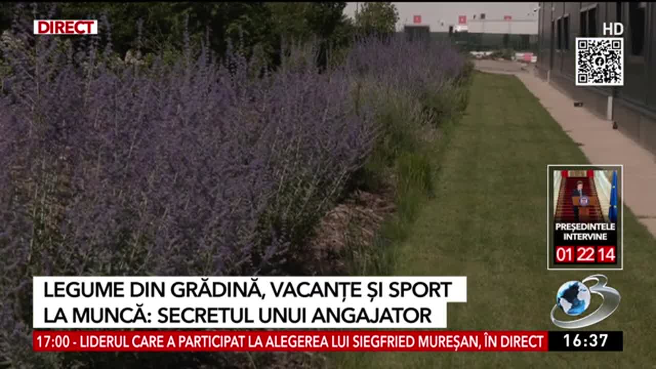 România inteligentă