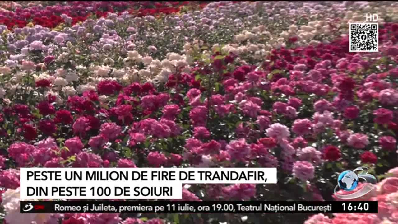 România inteligentă