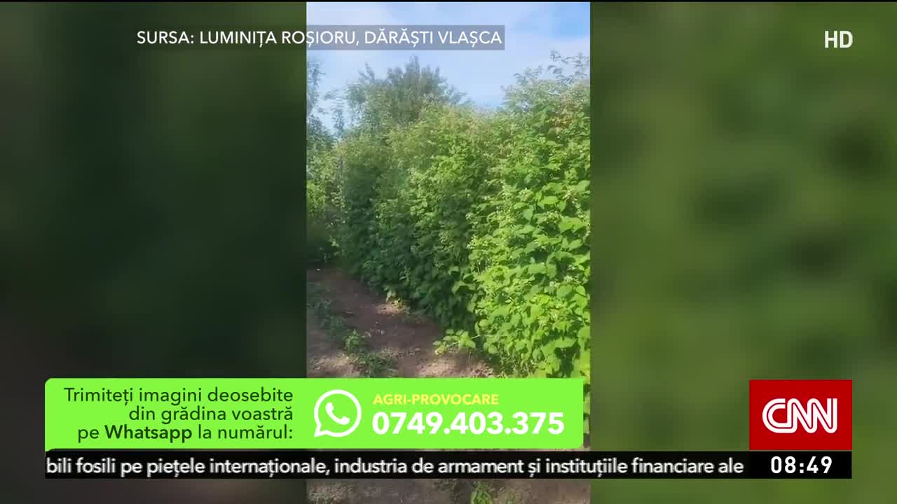 Agricool