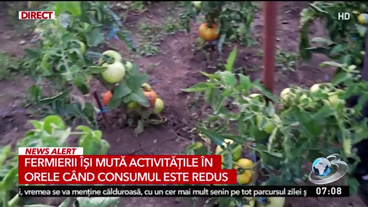 Știri ora 06:00