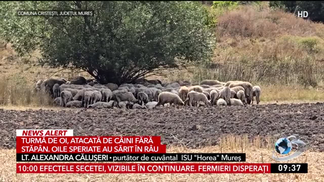 Știrile dimineții