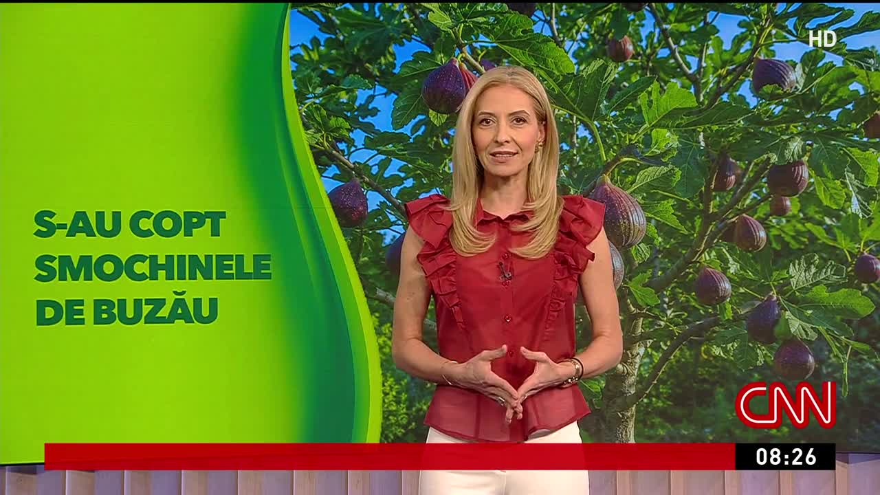 Agricool