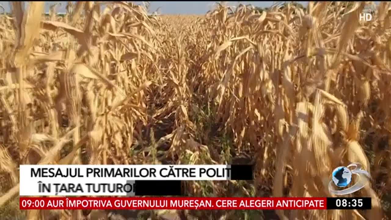 Știrile dimineții