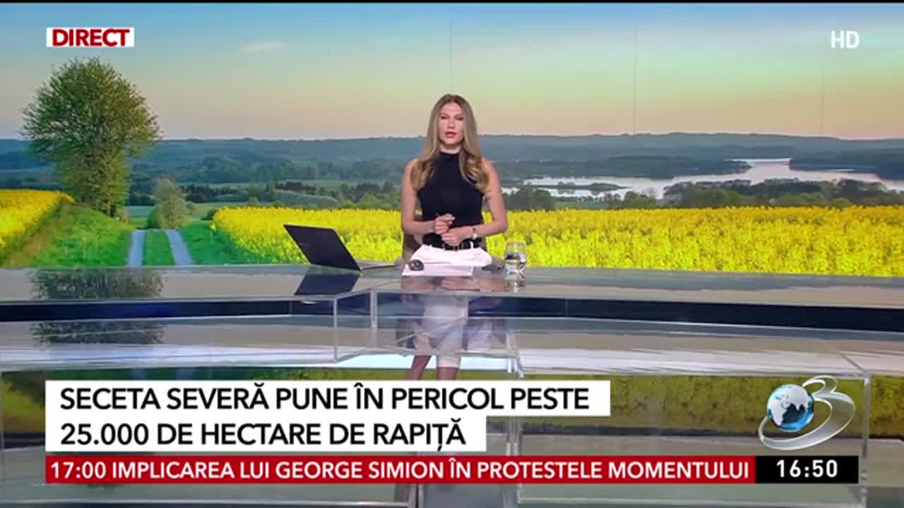 Știri ora 16:00