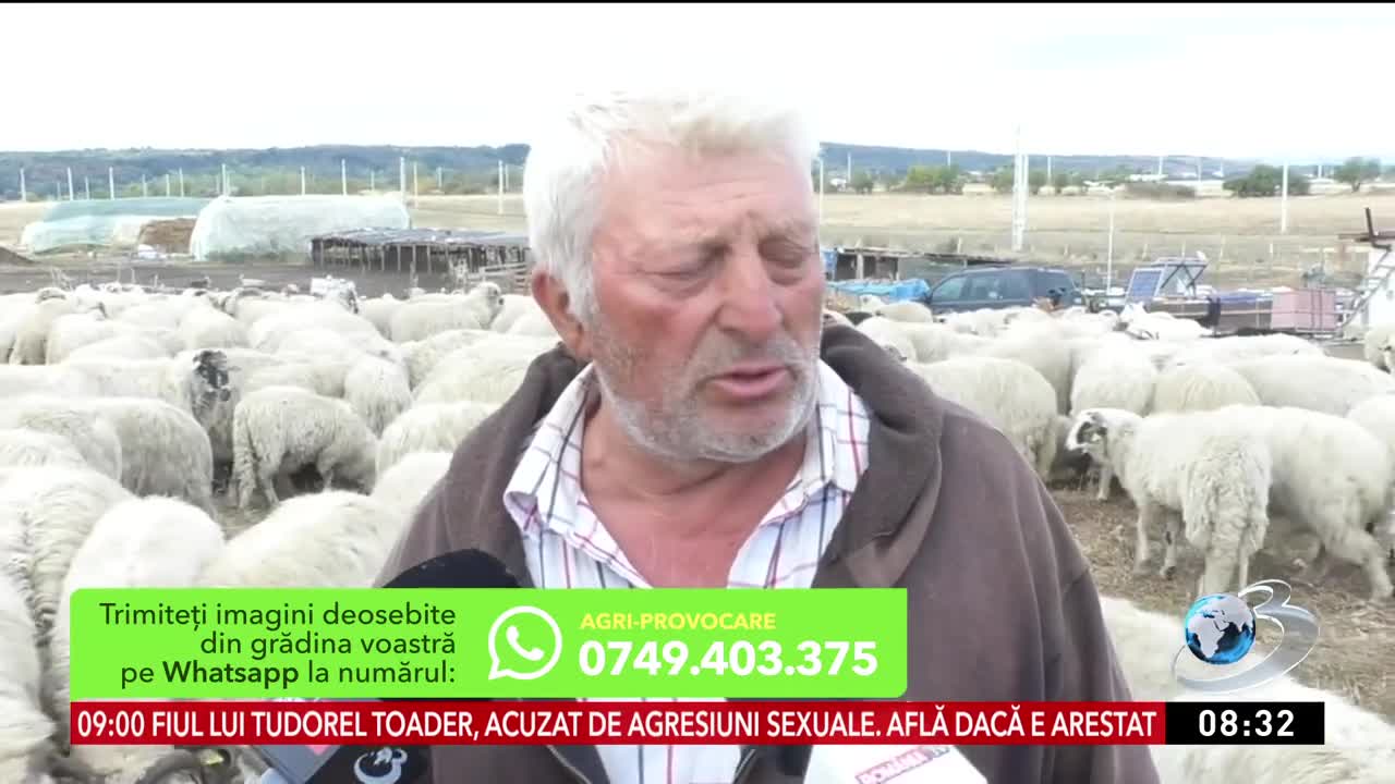 Agricool