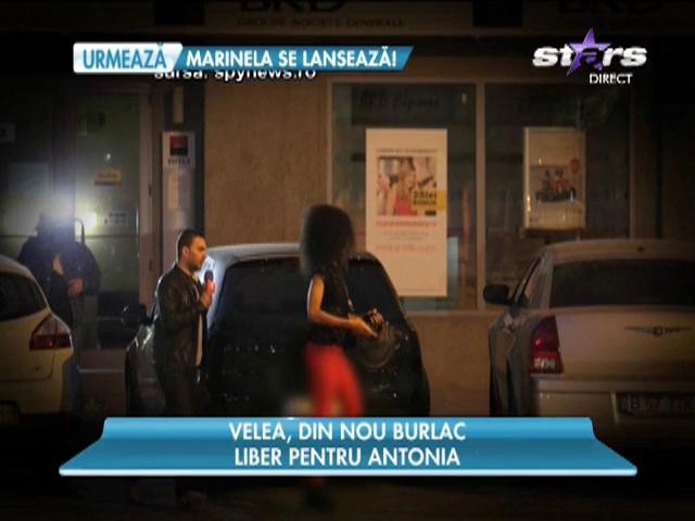 Alex Velea, din nou burlac