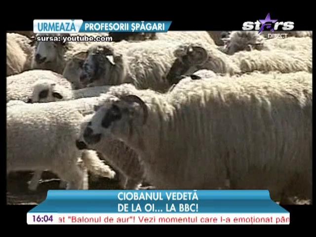 Ciobanul Ghiţă a trecut graniţa