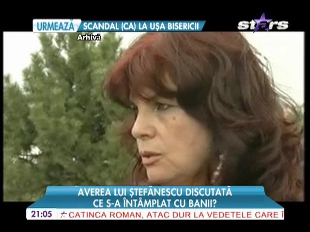 Scandal pe averea lui Costica Stefanescu