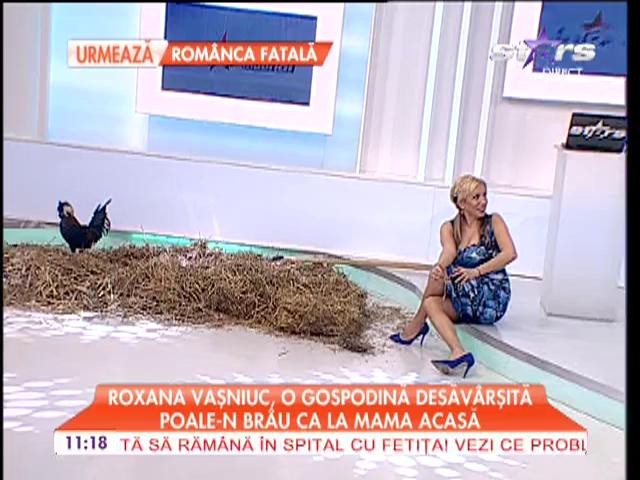Roxana Vaşniuc, o gospodină desăv&acirc;rşită