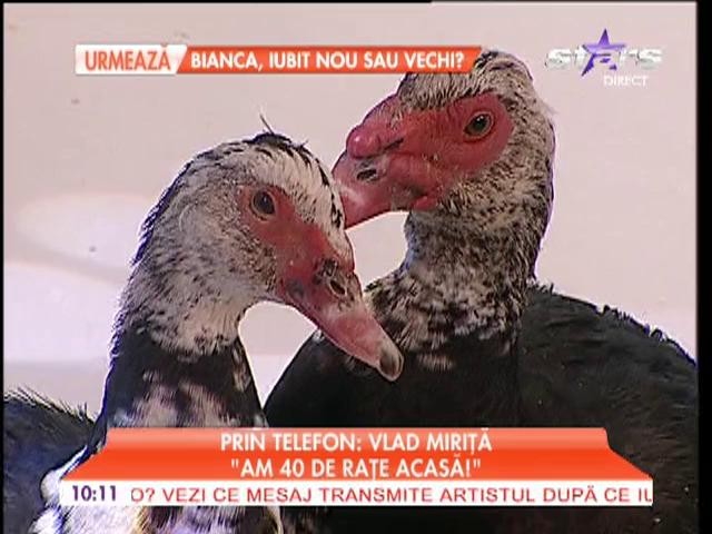 Telefon Vlad Mirita