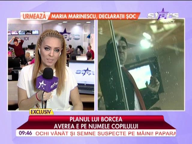 Planul lui Borcea