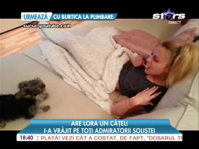 Lora are un catel