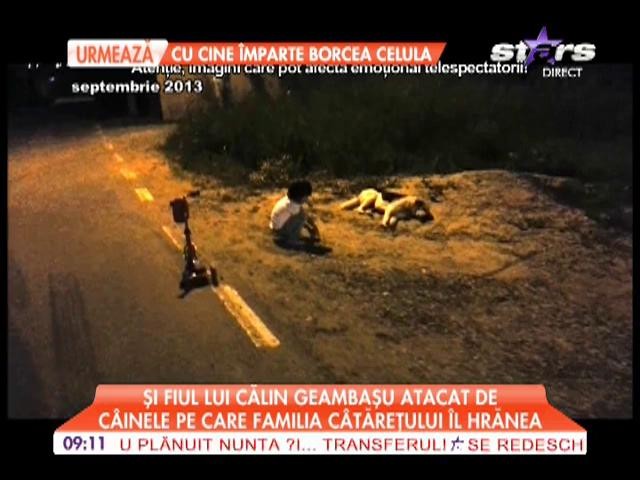 Fiul lui Călin Geambaşu atacat de c&acirc;inele familiei