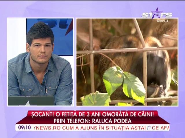 O fetiţă de 3 ani omor&acirc;tă de c&acirc;ini
