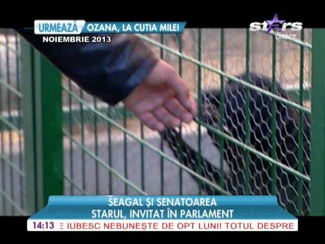 Segal si senatoarea