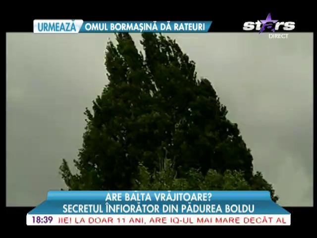 Are balta vrajitoare