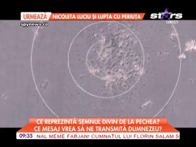 Cercurile misterioase de la Pechea