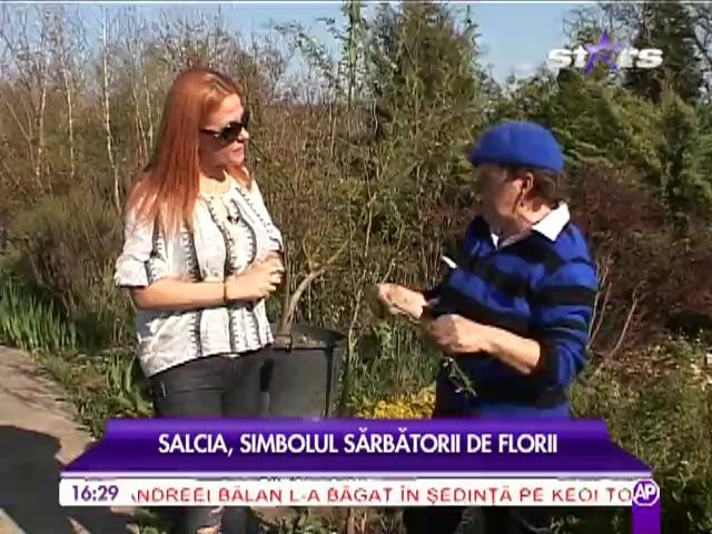 Salcia, simbolul sarbatorii de Flor