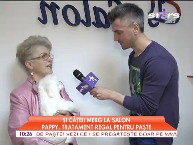 Si cateii merg la salon