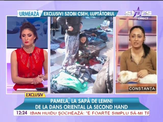 Pamela, la sapa de lemn