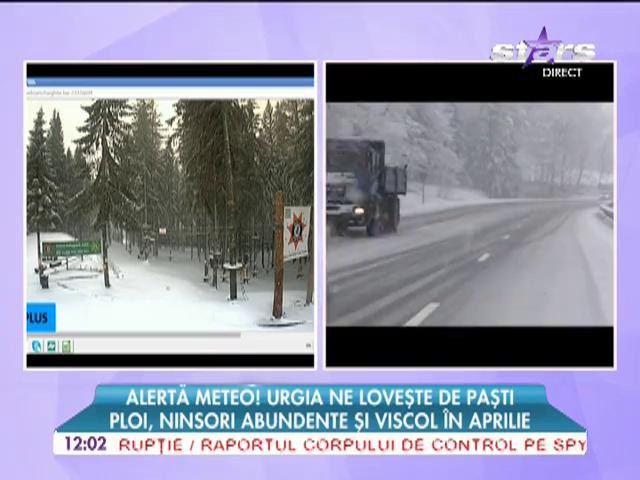 Alerta Meteo