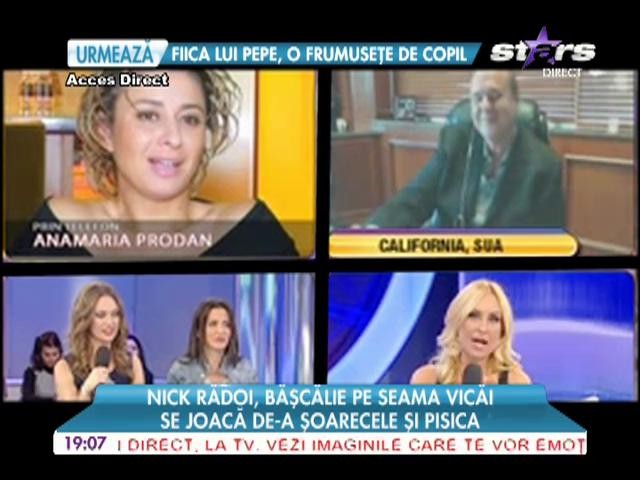 Nick Radoi, bascalie pe seama Vicai